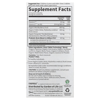 Garden of Life, Dr. Formulated Brain Health, Attention & Focus for Kids, Organic Watermelon Berry, 60 Yummy Chewables