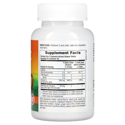 NaturesPlus, Animal Parade, Vitamin C, Children's Chewable Supplement, Sugar Free, Orange Juice, 90 Animal-Shaped Tablets