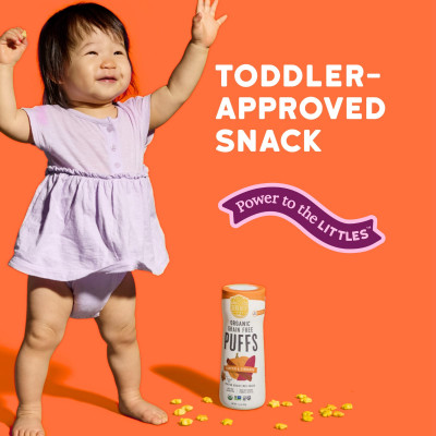 Serenity Kids, Organic Grain Free Puffs, Pumpkin & Cinnamon, 1.5 oz (42 g)