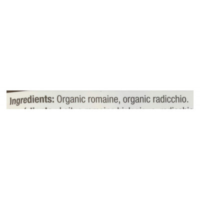 365 by Whole Foods Market, Organic Italian Salad, 10 Ounce