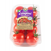Sunset Organic Campari Tomatoes, 12 oz